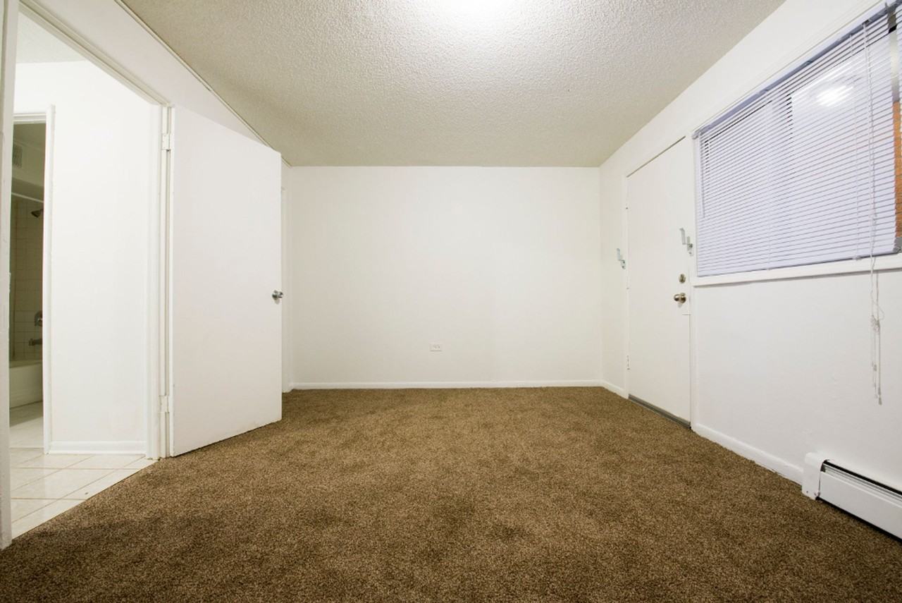 7916 S Drexel Ave Chicago, IL 60619 - Photo 3 of 12