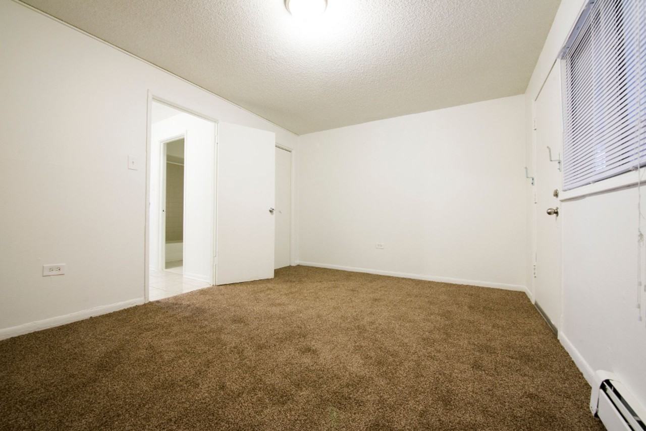 7916 S Drexel Ave Chicago, IL 60619 - Photo 4 of 12