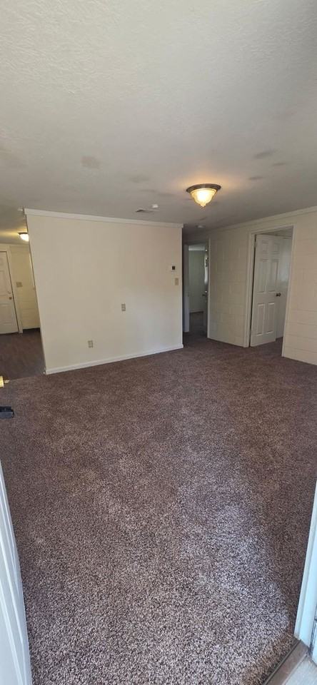 343 Hill St #7 - Photo 2 of 8