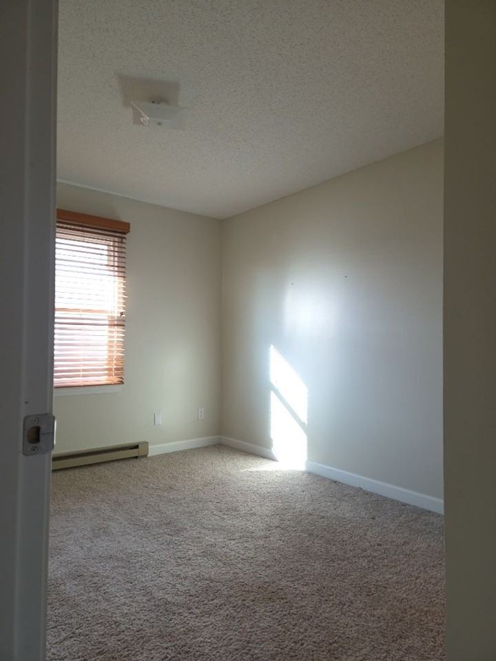 1220 S Martin St - Photo 7 of 15