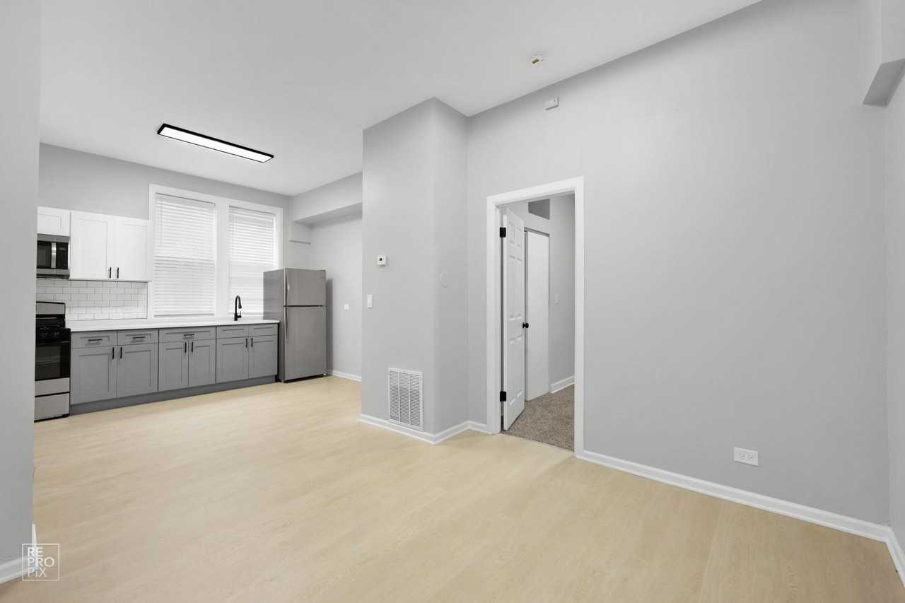 2542 S Trumbull Chicago, IL 60623 - Photo 4 of 21