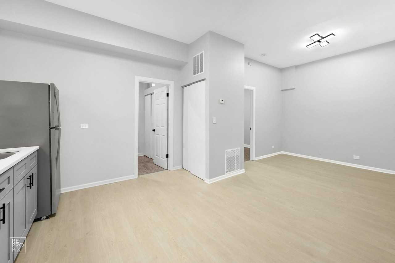2542 S Trumbull - Photo 7 of 20