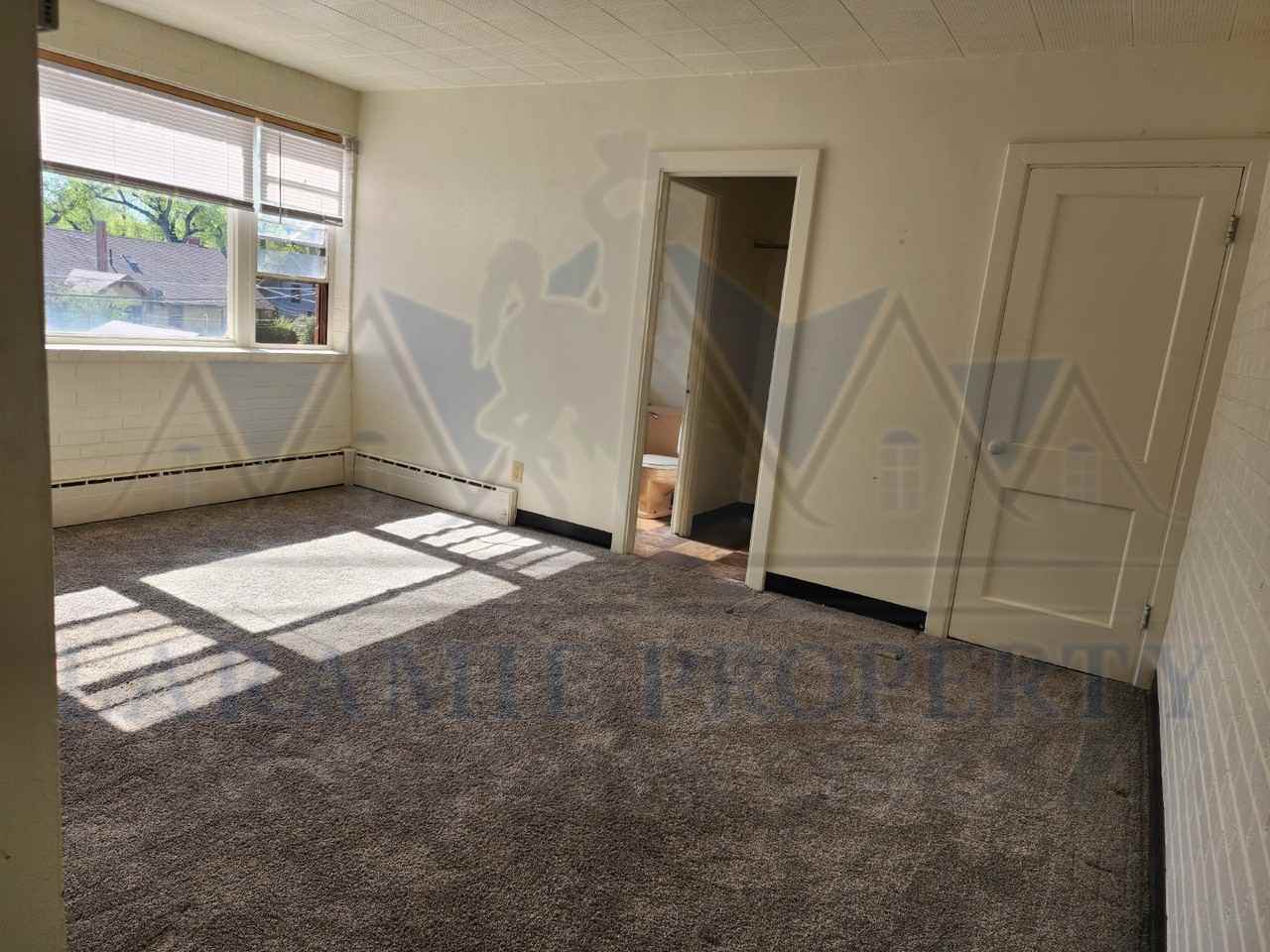 305 S 10th - 19 - Photo 4 of 11