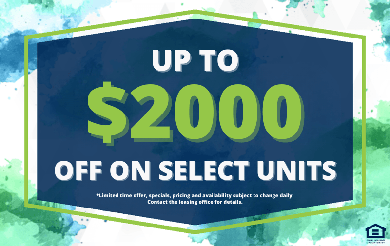 The Park - Photo 2 of 30