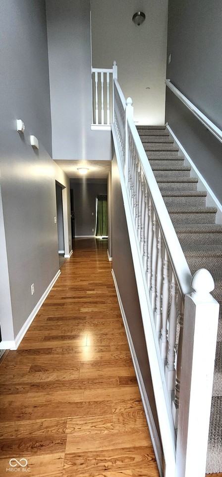 5923 Edelle Dr - Photo 3 of 23