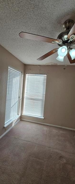 9811 Walnut St #301 - Photo 2 of 17