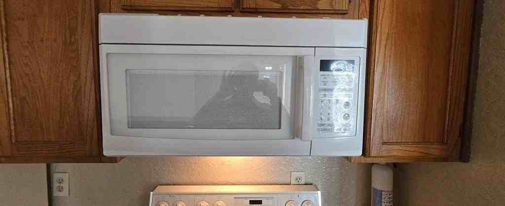 9811 Walnut St #301 - Photo 5 of 17