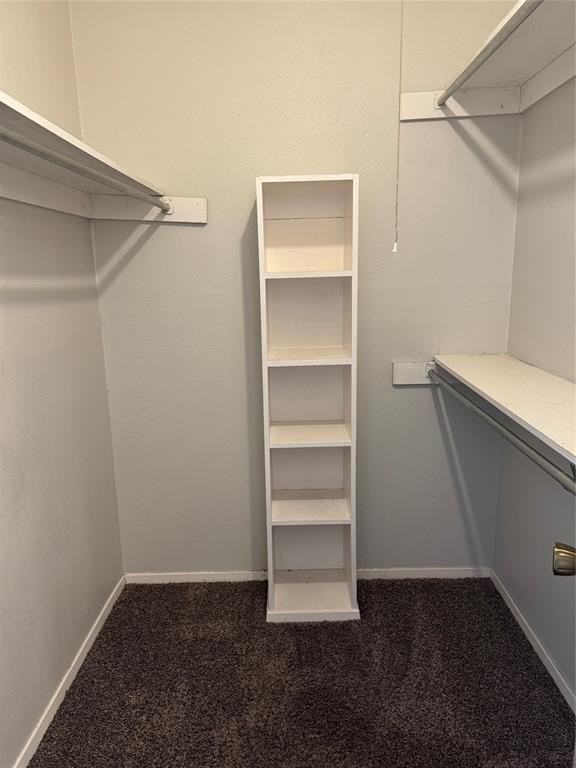 2559 Red River St - Photo 7 of 11