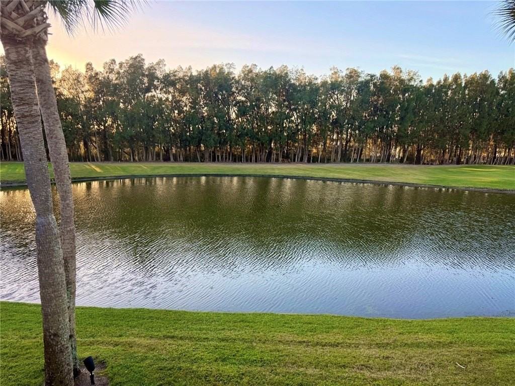 12 Plantation Dr Apt 203 #203 - Photo 6 of 28