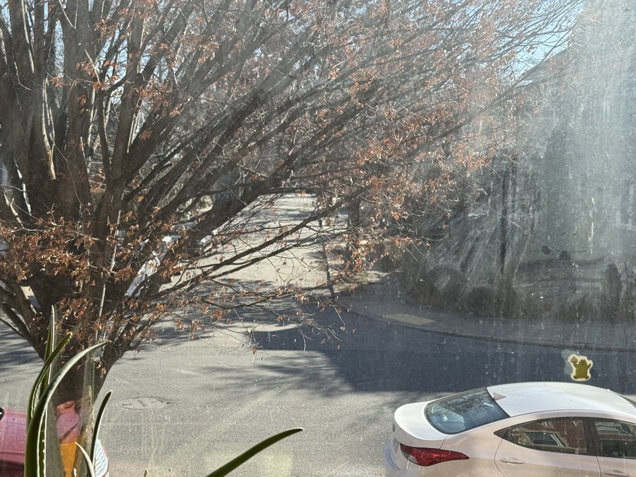 94 Corey Rd #11 - Photo 5 of 12