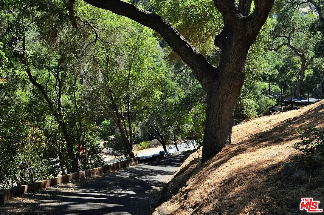 1133 Old Topanga Canyon Rd - Photo 4 of 9