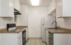 3104 Golden Oaks Ln - Photo 1 of 1