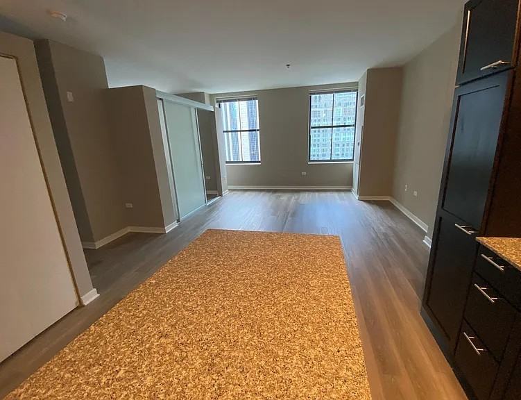 220 W Randolph St #815 - Photo 2 of 9