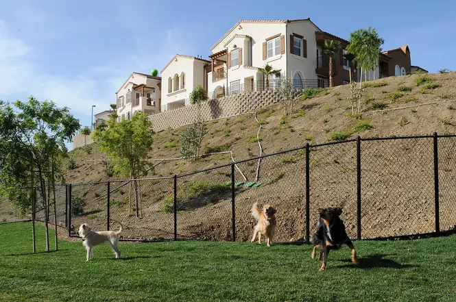 11035 Via Livorno - Photo 4 of 20