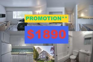 1540 Haro Street #201 - Photo 1 of 1