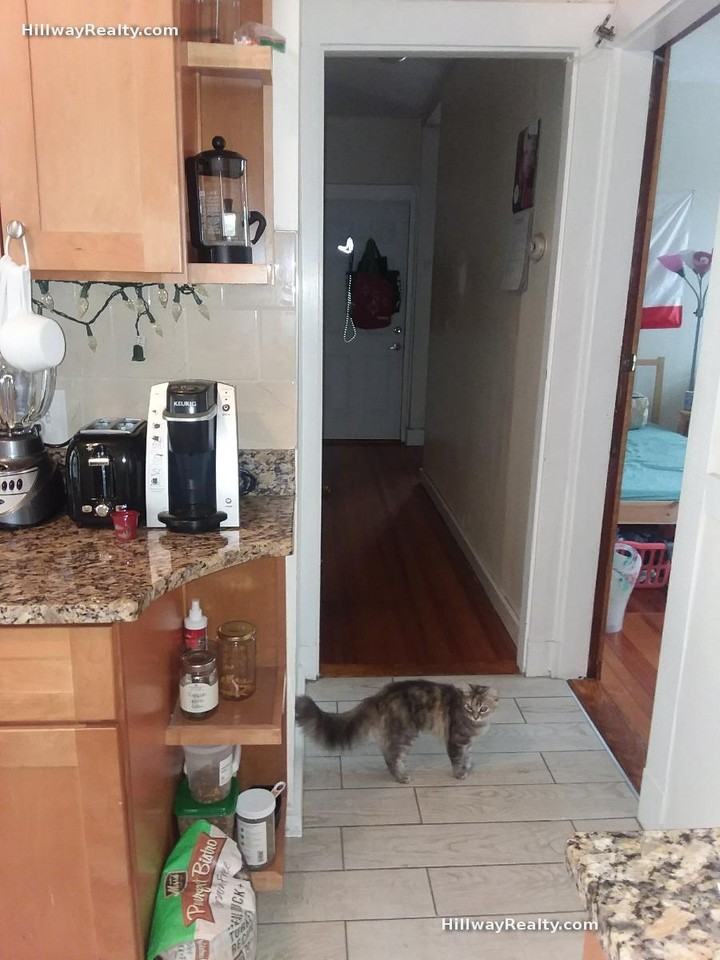 24 Darling St #3 - Photo 2 of 10