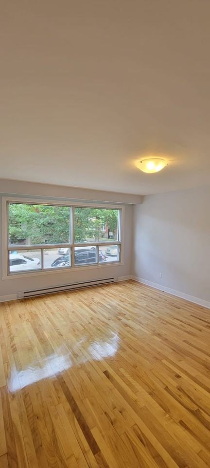 9030 Rue Saint-Urbain #1 - Photo 7 of 10