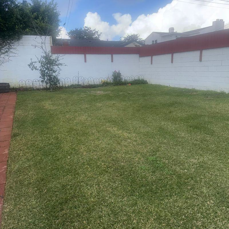 7407 Dunfield Ave - Photo 6 of 12