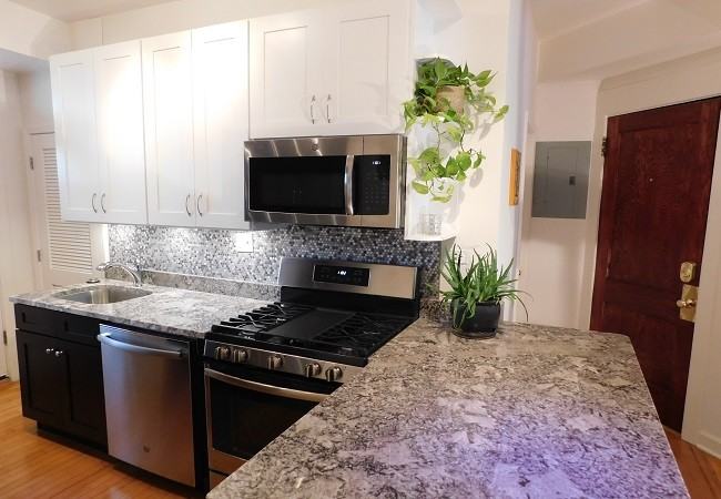 1732 W. North Shore Ave #3 - Photo 5 of 21