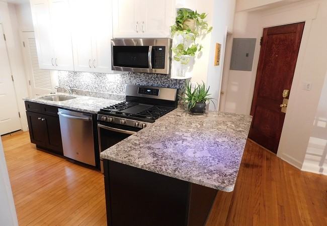 1732 W. North Shore Ave #3 - Photo 6 of 21