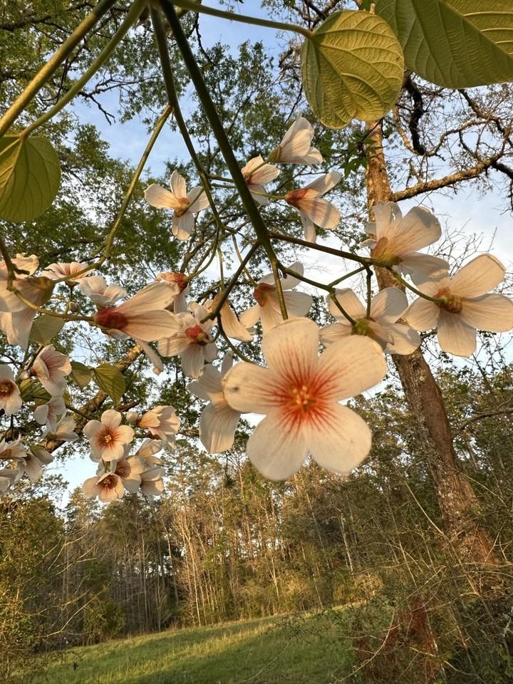 3972 Millside Rd - Photo 6 of 11