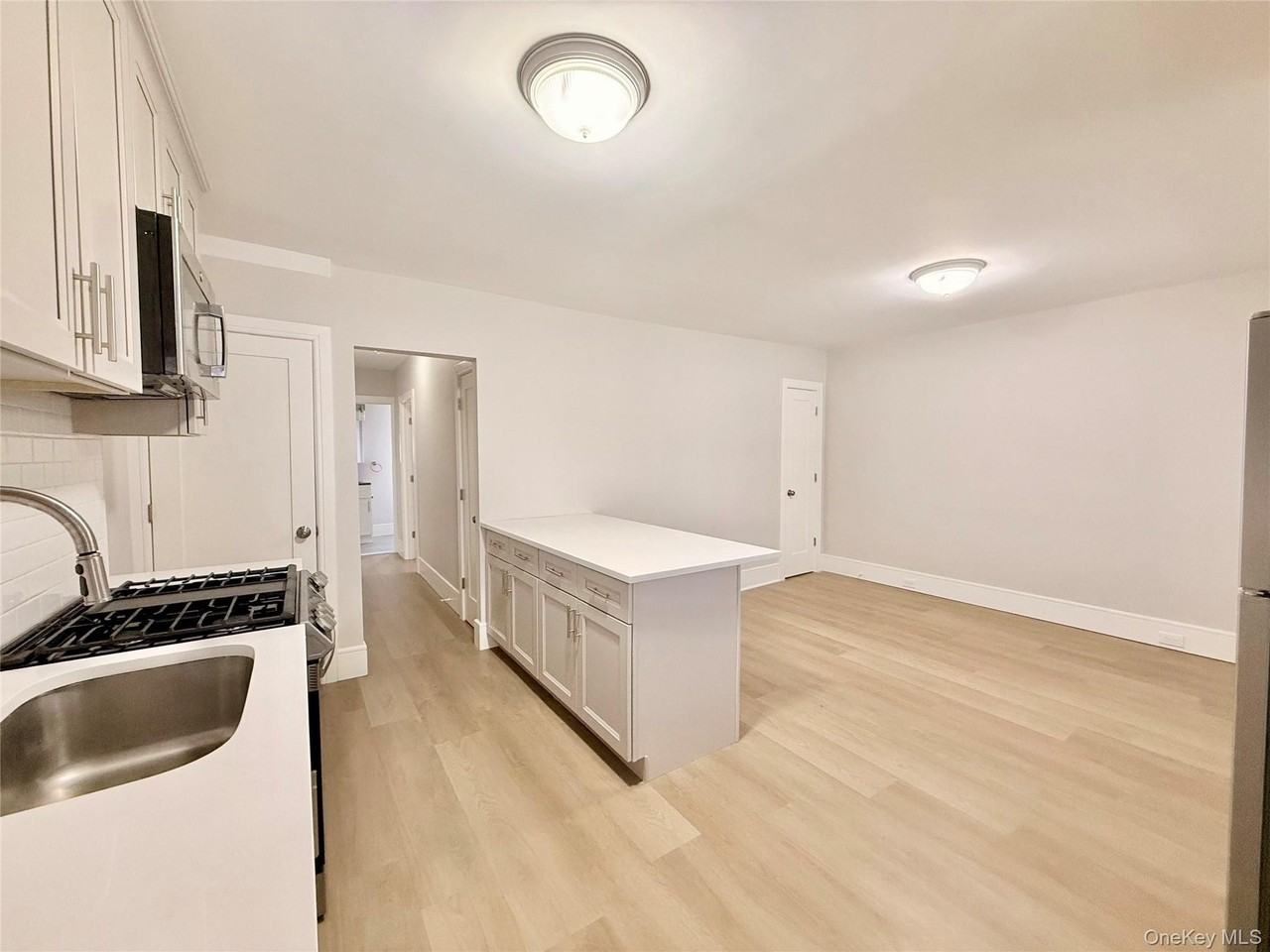 678 Willis Ave Apt 1 #1 - Photo 3 of 7