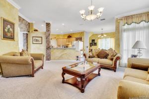 featured image of 3 Greens Shadow