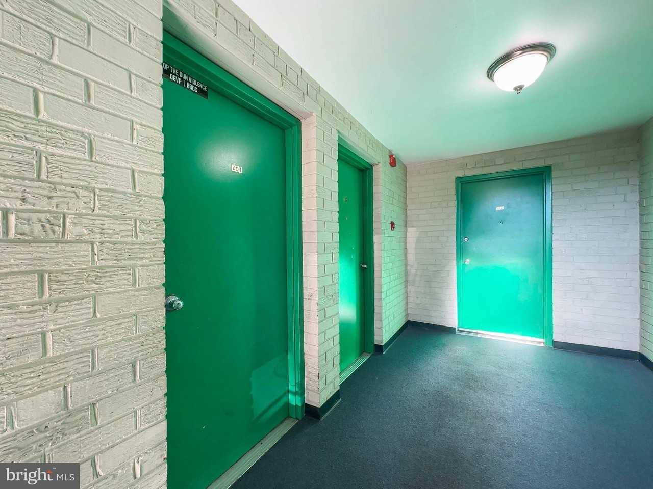 4810 Quarles St Ne Apt 201 #201 - Photo 6 of 23