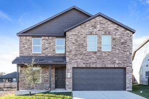 featured image of 253 Amy Aly