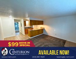 featured image of 1015 5th Ave Sw #4