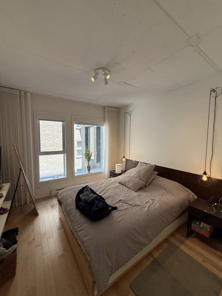 2229 Rue Sainte-Catherine Est #206 - Photo 4 of 9