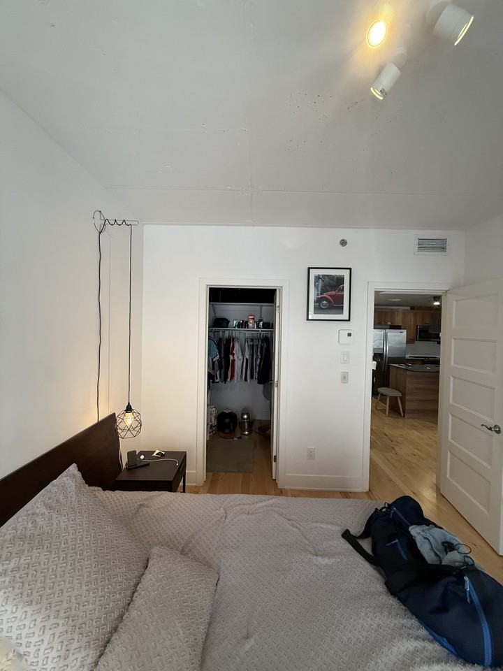 2229 Rue Sainte-Catherine Est #206 - Photo 5 of 9