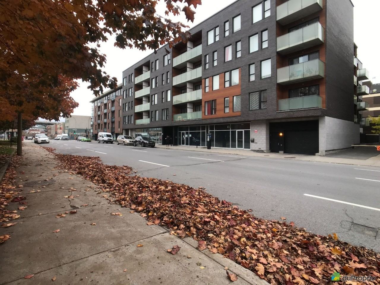 2229 Rue Sainte-Catherine Est #206 - Photo 7 of 9