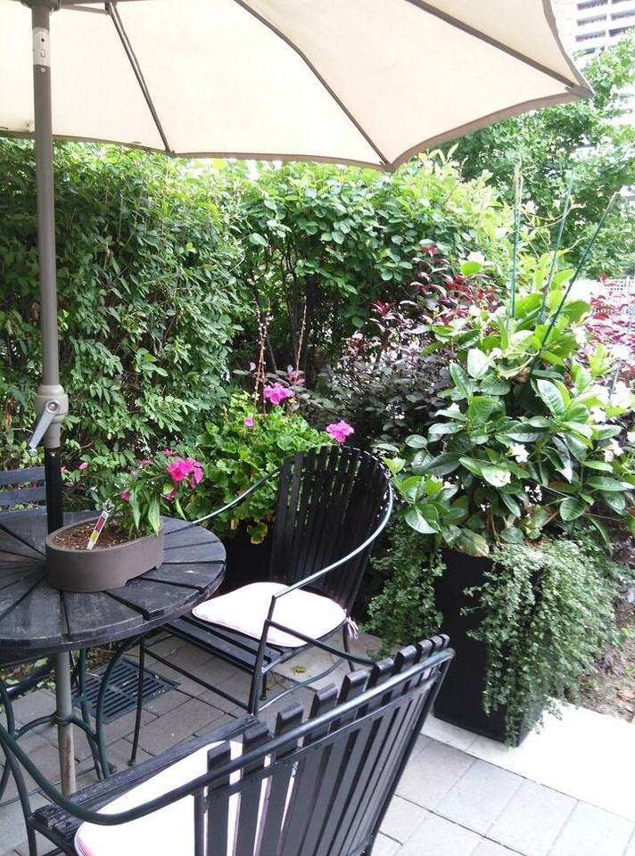 Homewood Ave & Wellesley St E #L104 - Photo 3 of 16