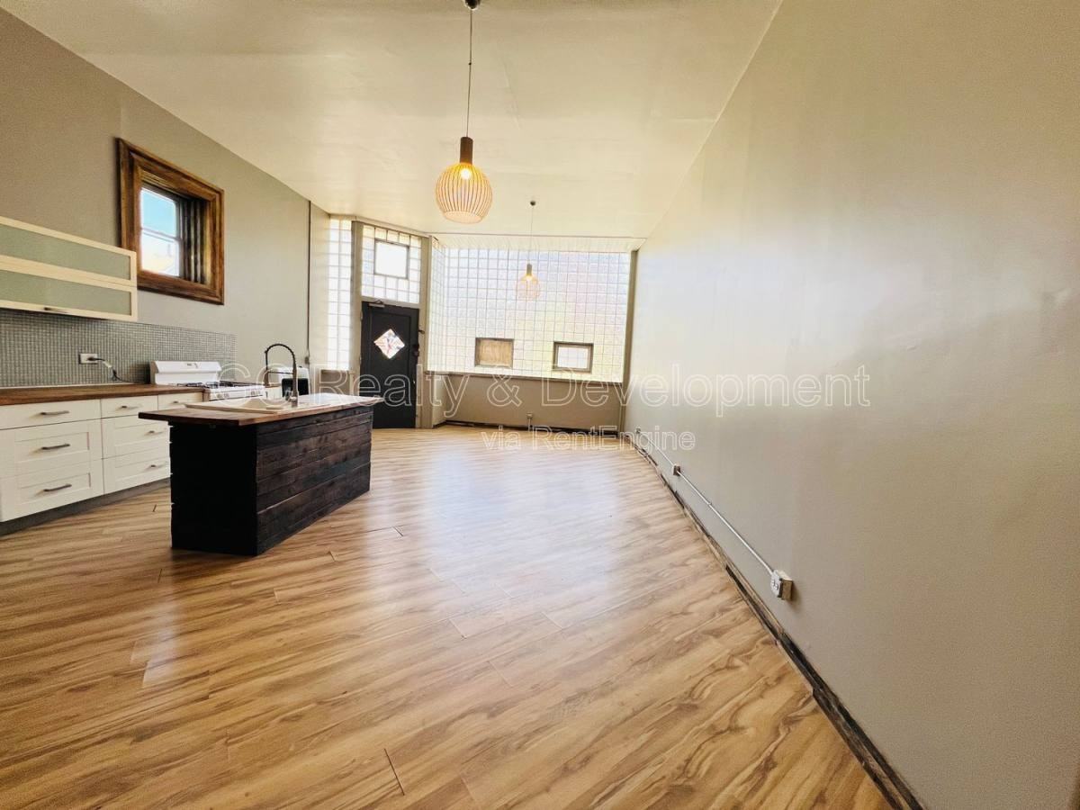 3336 S Lituanica Ave #1F - Photo 2 of 10