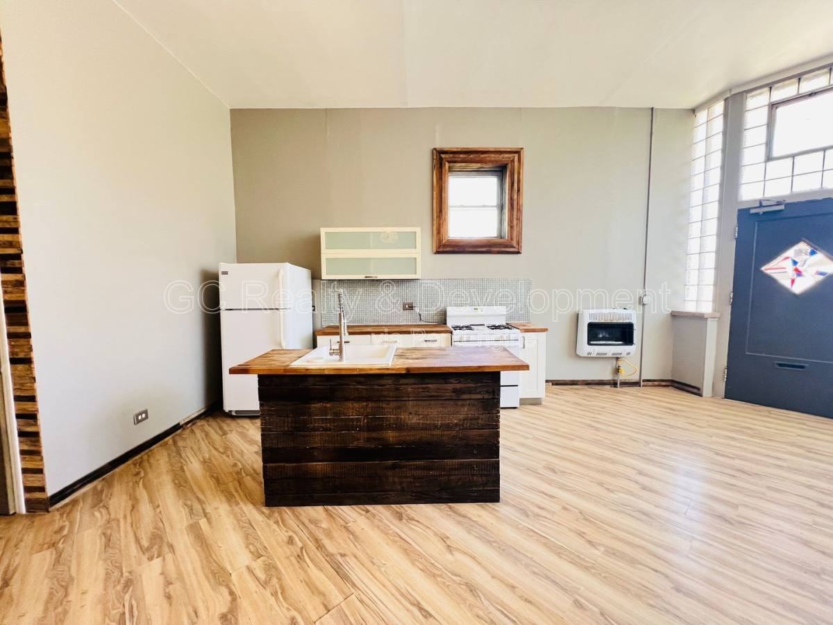 3336 S Lituanica Ave #1F - Photo 3 of 10