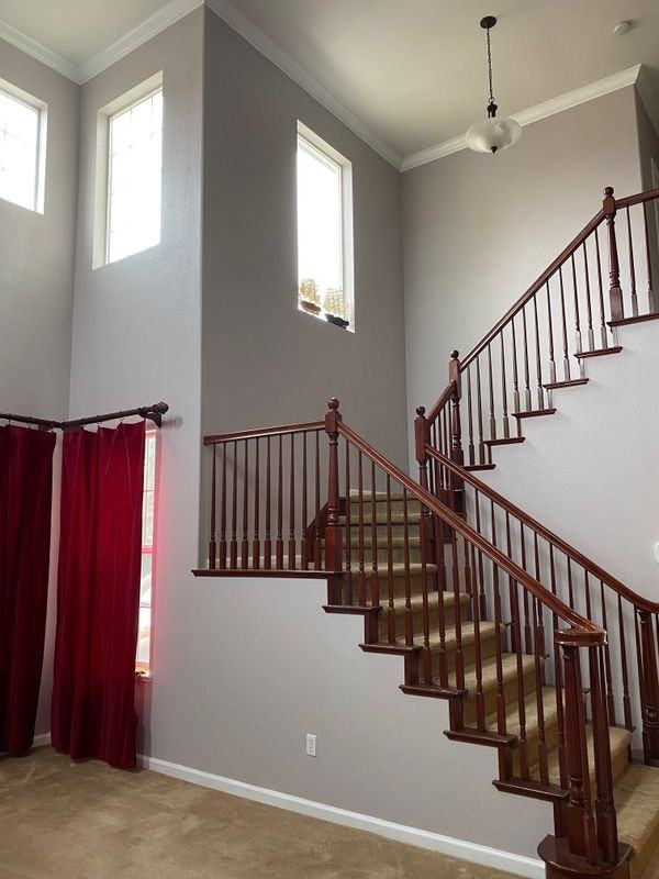 5675 Lolet Way - Photo 3 of 12