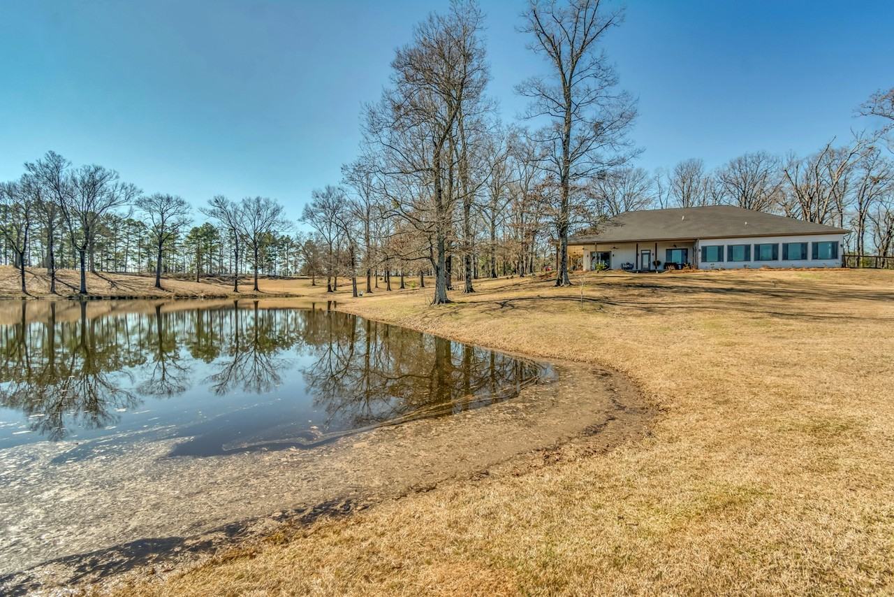 1310 Jimmy Williams Road - Photo 6 of 50