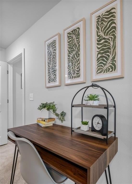 43 Saint Austell Dr - Photo 7 of 15