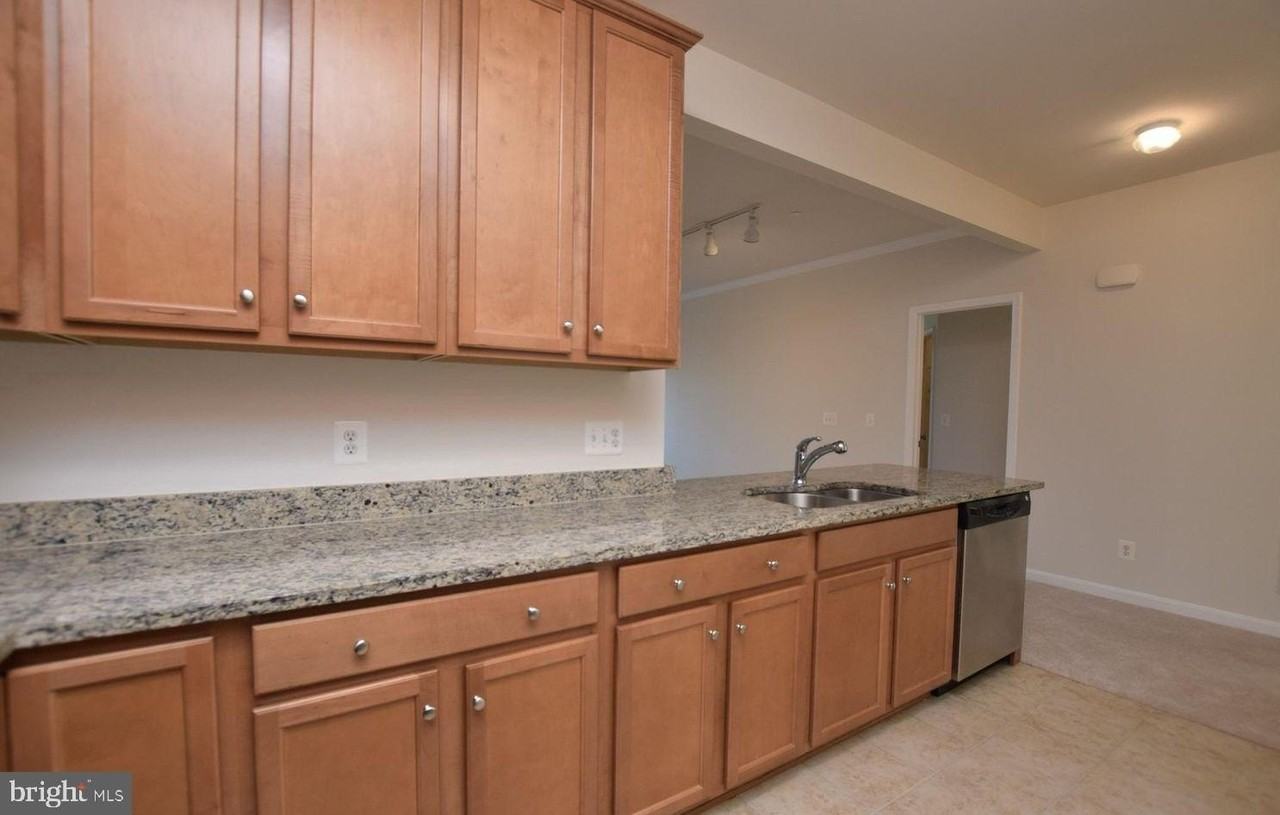 42287 San Juan Ter - Photo 3 of 12