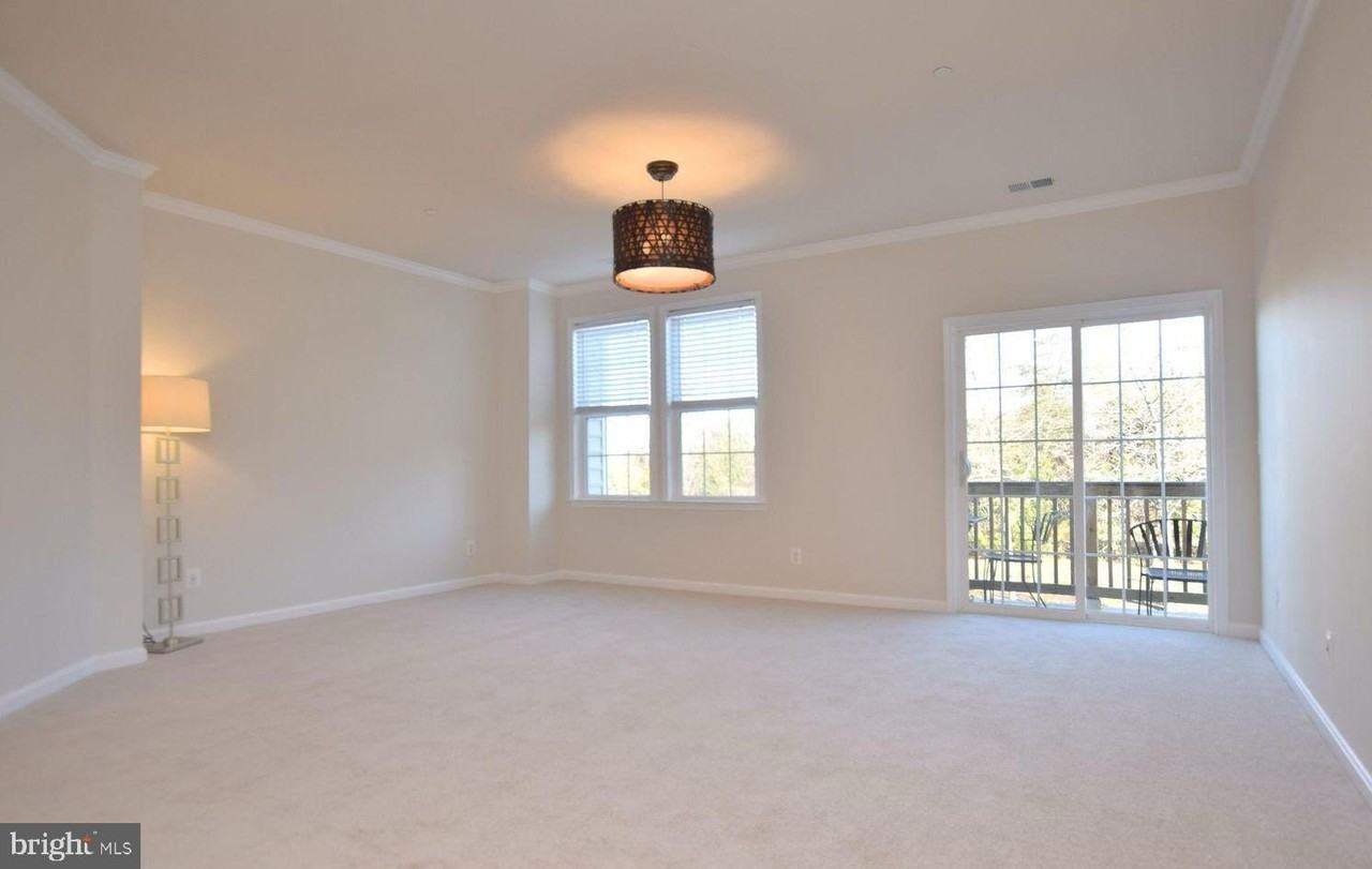 42287 San Juan Ter - Photo 5 of 12