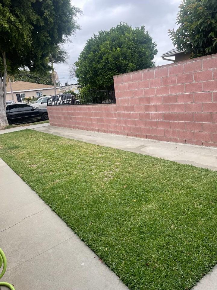 3539 Baltic Ave - Photo 4 of 20