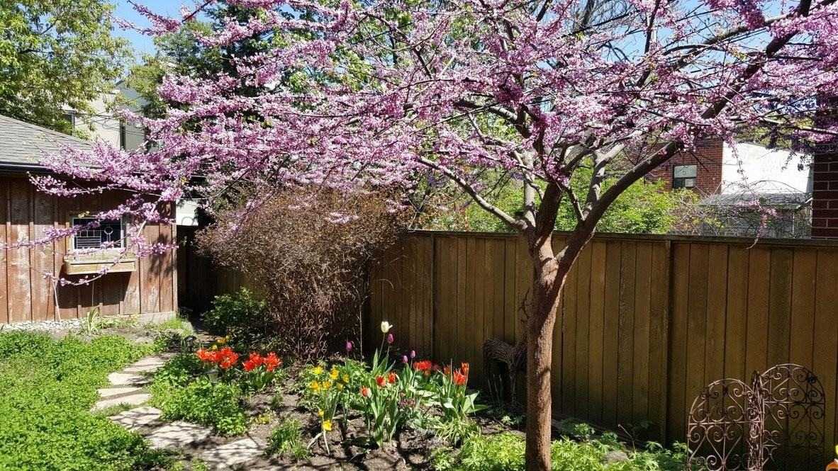 145 Denison Avenue - Photo 4 of 13