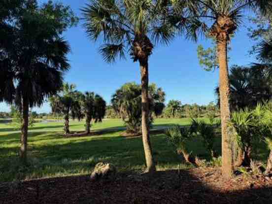 9142 Cherry Oaks Ln #201 - Photo 5 of 35