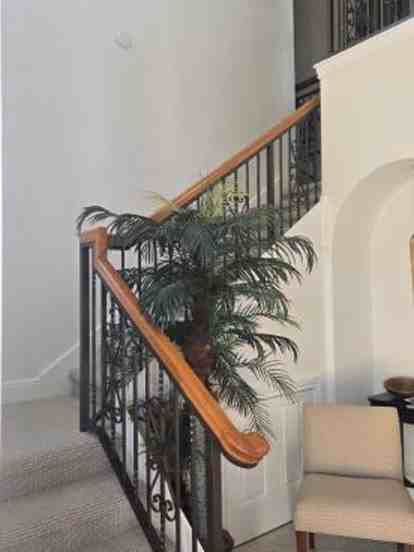 9142 Cherry Oaks Ln #201 - Photo 7 of 35