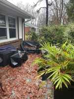 featured image of 76F Dorchester Dr #76F