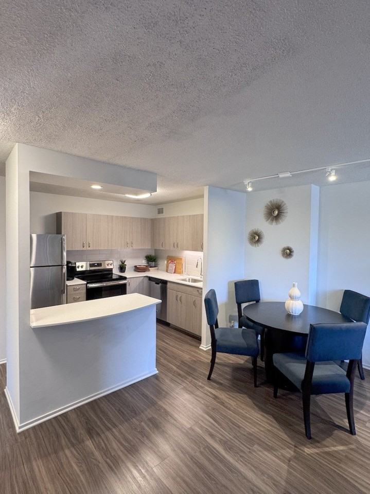 1130 N Dearborn St Apt 2410 #2410 - Photo 2 of 17