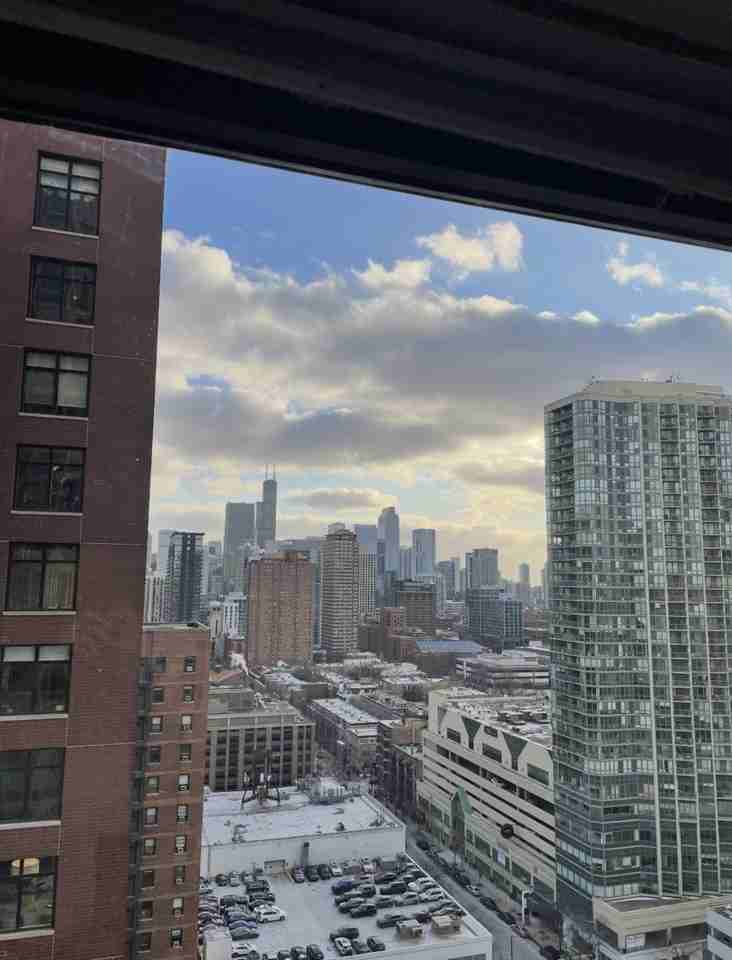 1130 N Dearborn St Apt 2410 #2410 - Photo 3 of 17