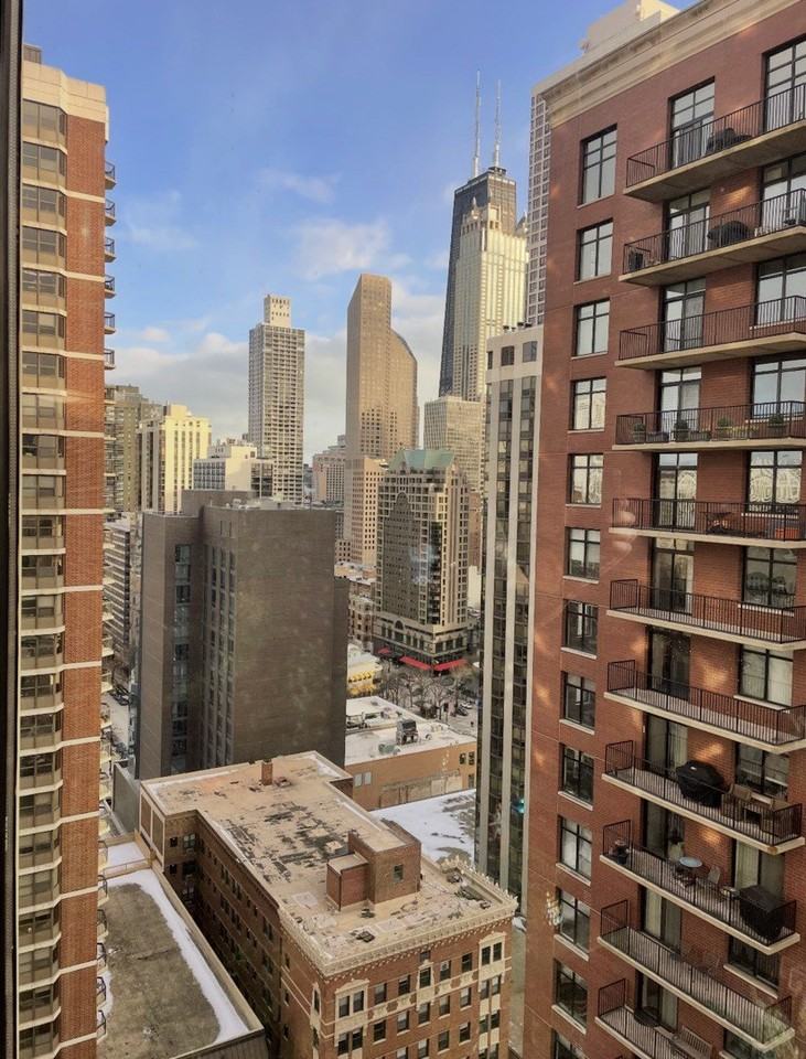 1130 N Dearborn St Apt 2410 #2410 - Photo 4 of 17