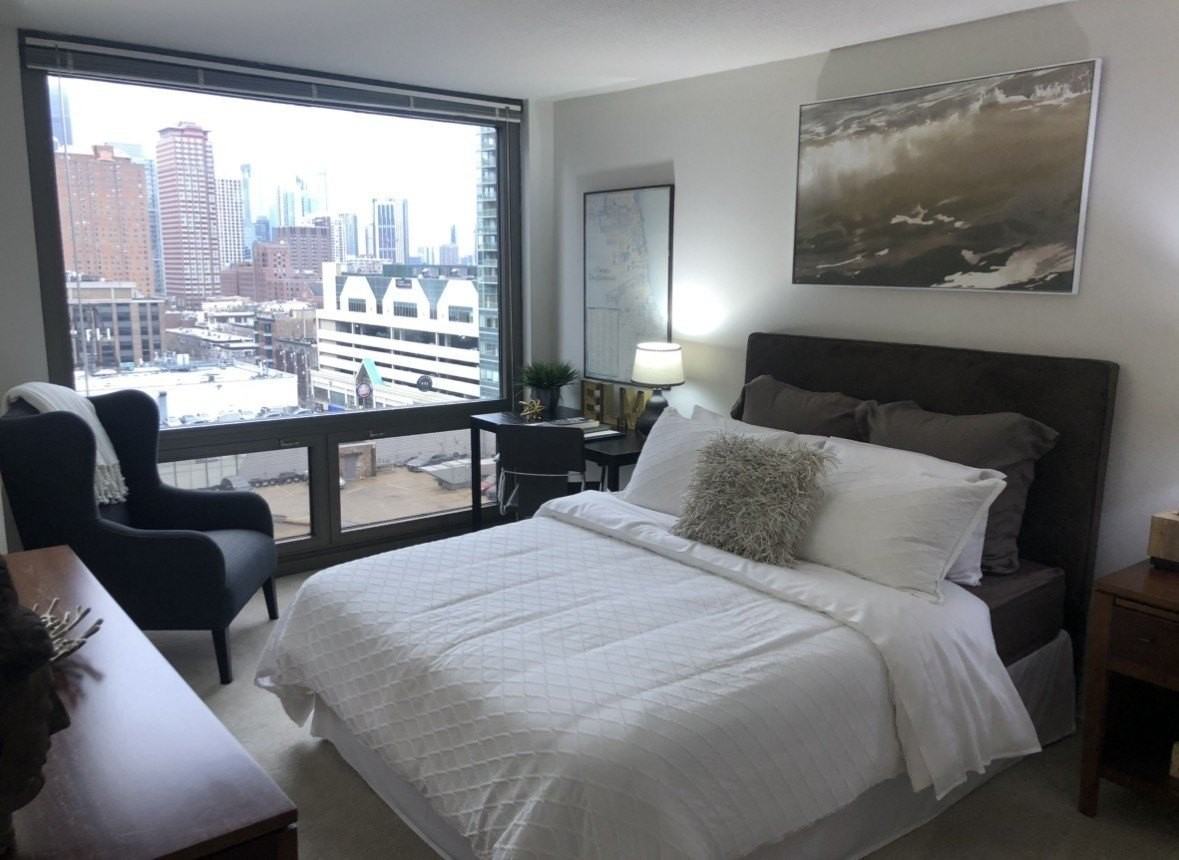 1130 N Dearborn St Apt 2410 #2410 - Photo 5 of 17